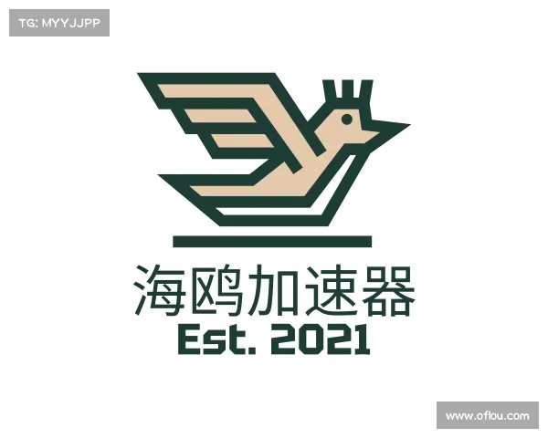 解读海鸥加速器